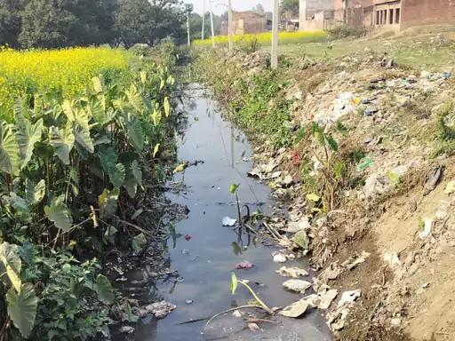 अन्नदाता पर प्रकृति नहीं, 'लापरवाही' की मार: सफीपुर में बारीथाना माइनर कटी