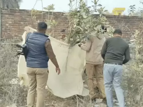 सेन पश्चिमपारा में मिला महिला का क्षत-विक्षत शव