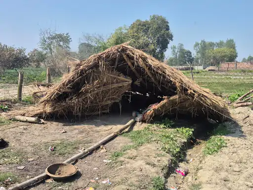 100 फलदार पेड़ काटे, दो पर FIR