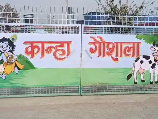 गंगाघाट गोशाला बनी पशुओं की 'कब्रगाह'