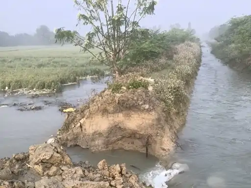 मोहान रजबहा टूटने से हाजीपुर तरेहा में तबाही; 100 बीघा गेहूं की फसल जलमग्न, किसानों के अरमानों पर फिरा पानी
